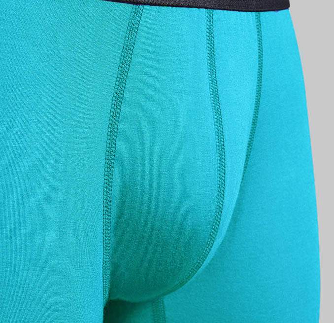 The Trunk - KULA Underwear